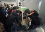 IMG_4385.jpeg