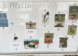 IMG_5874.jpeg