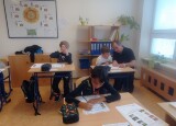 IMG_20241017_090538.jpg