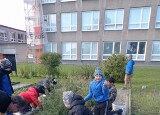IMG_20241017_110213.jpg