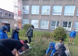 IMG_20241017_110209.jpg