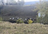 IMG_3865.jpeg