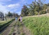 IMG_3848.jpeg