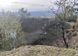 IMG_3866.jpeg