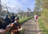 IMG_3845.jpeg