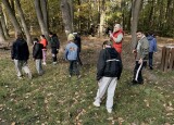 IMG_4417.jpeg