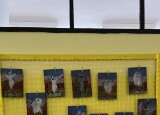 IMG_6092.jpeg