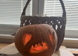 IMG_7175.jpeg