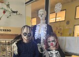 IMG_7152.jpeg
