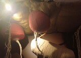 IMG_20241101_095026.jpg