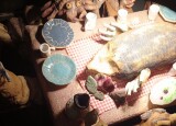 IMG_20241101_102823.jpg