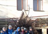 IMG_20241101_092550.jpg