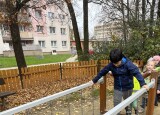 IMG_6300.jpeg