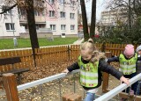 IMG_6306.jpeg