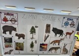 IMG_6289.jpeg