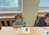 IMG_6283.jpeg