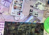 IMG_7187.jpeg