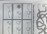 IMG_7238.jpeg