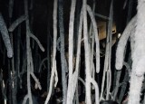 IMG_4585.jpeg