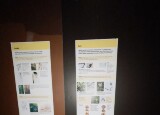 IMG_4584.jpeg