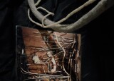 IMG_4583.jpeg