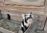 IMG_4672.jpeg