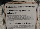 IMG_4678.jpeg