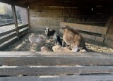 IMG_4674.jpeg