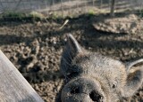 IMG_4673.jpeg