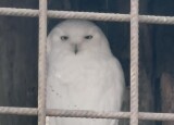 IMG_4681.jpeg
