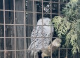 IMG_4680.jpeg