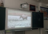 IMG_4695.jpeg