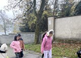 IMG_4089.jpeg