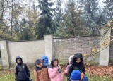 IMG_4091.jpeg
