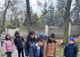 IMG_4094.jpeg