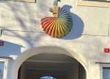 IMG_7388.jpeg