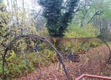 IMG-20241125-WA0048.jpg