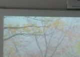 IMG-20241202-WA0038.jpg