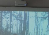IMG-20241202-WA0029.jpg