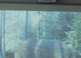 IMG-20241202-WA0044.jpg