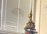 IMG_7440.jpeg