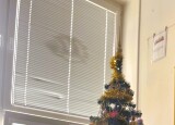 IMG_7446.jpeg
