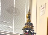 IMG_7442.jpeg