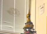 IMG_7445.jpeg