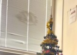 IMG_7444.jpeg