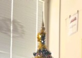 IMG_7441.jpeg