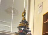 IMG_7443.jpeg