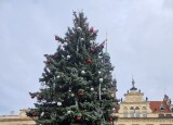 20241203_110055.jpg