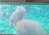IMG-20241203-WA0048.jpg