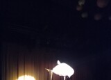 IMG_20241204_094055.jpg